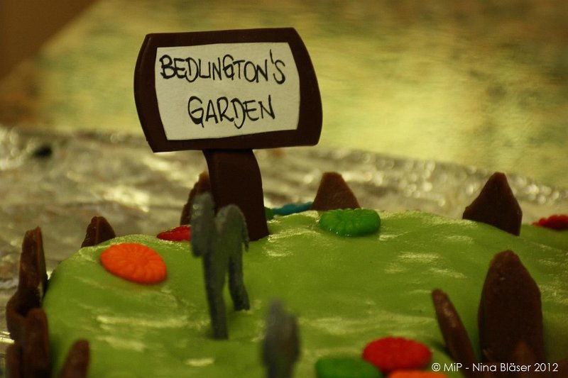 2012-07-01 B & B - Bedlington & Bichon Fun Day (205)_1500x1000.jpg